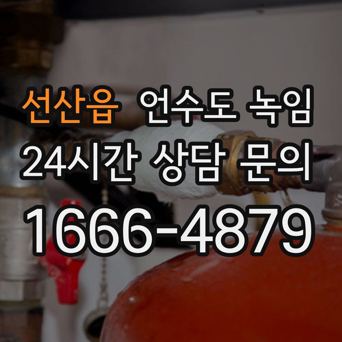 선산읍 언수도 녹임