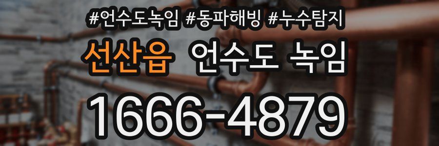 선산읍 언수도 녹임