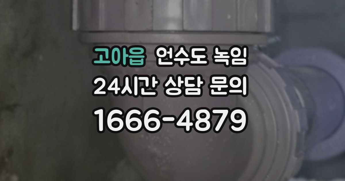 고아읍 언수도 녹임