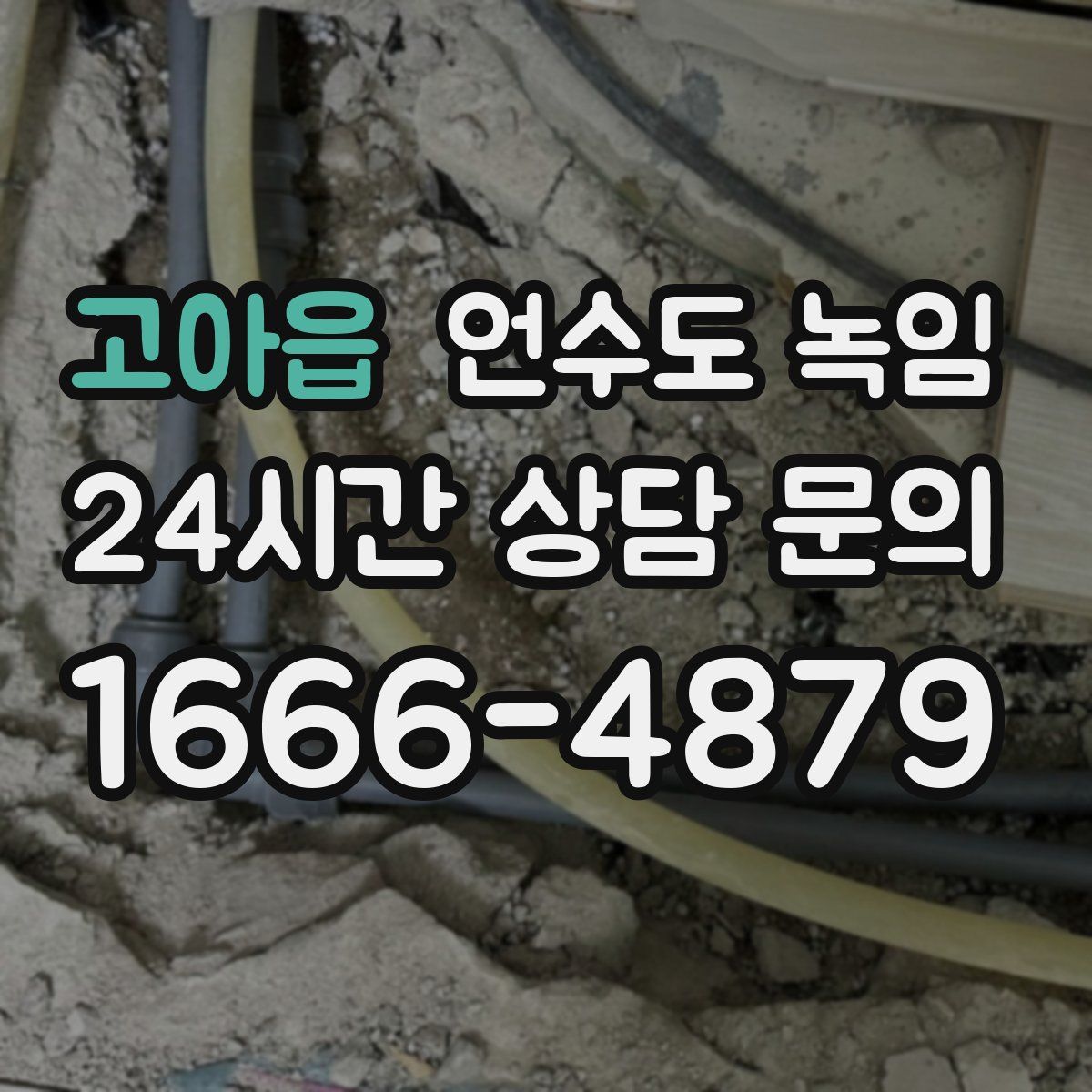 고아읍 언수도 녹임