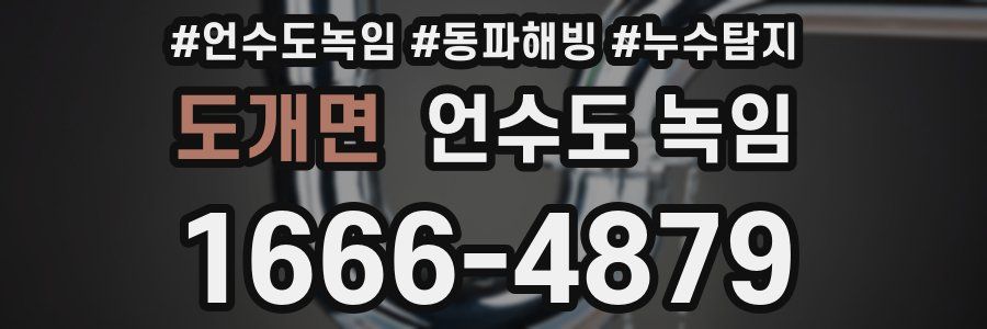 도개면 언수도 녹임