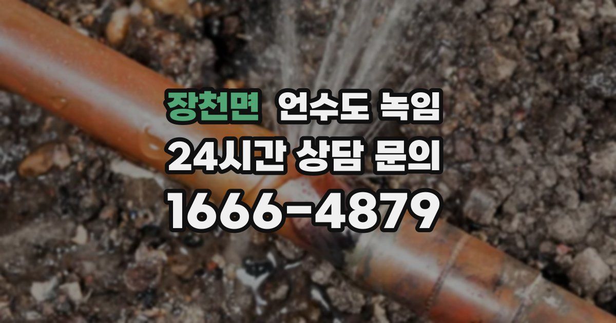 장천면 언수도 녹임
