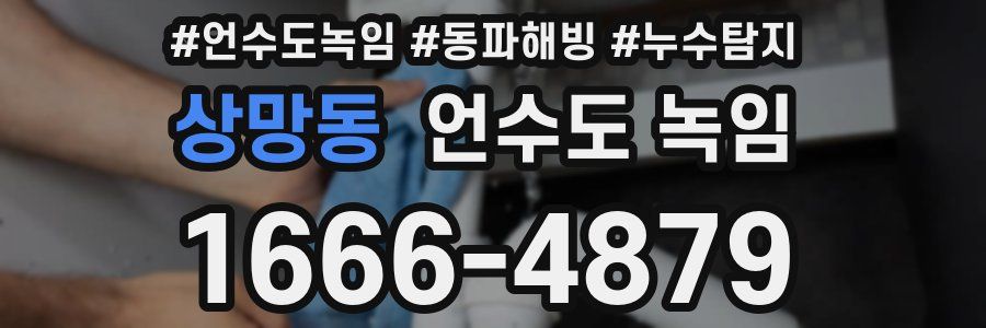 상망동 언수도 녹임