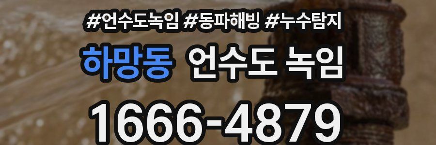 하망동 언수도 녹임