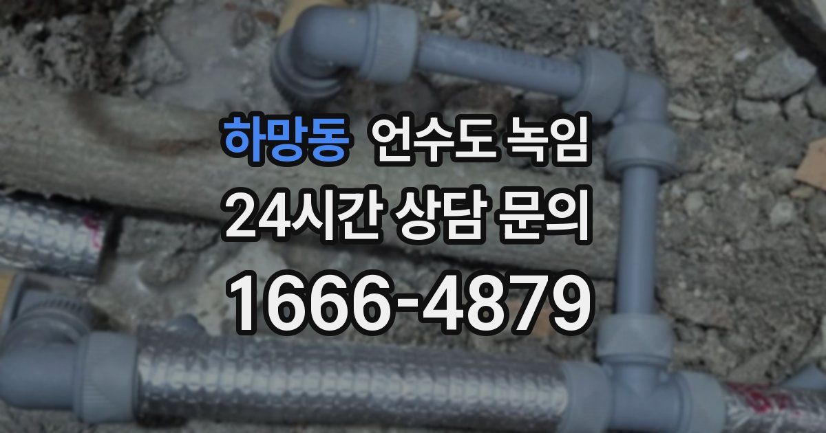 하망동 언수도 녹임