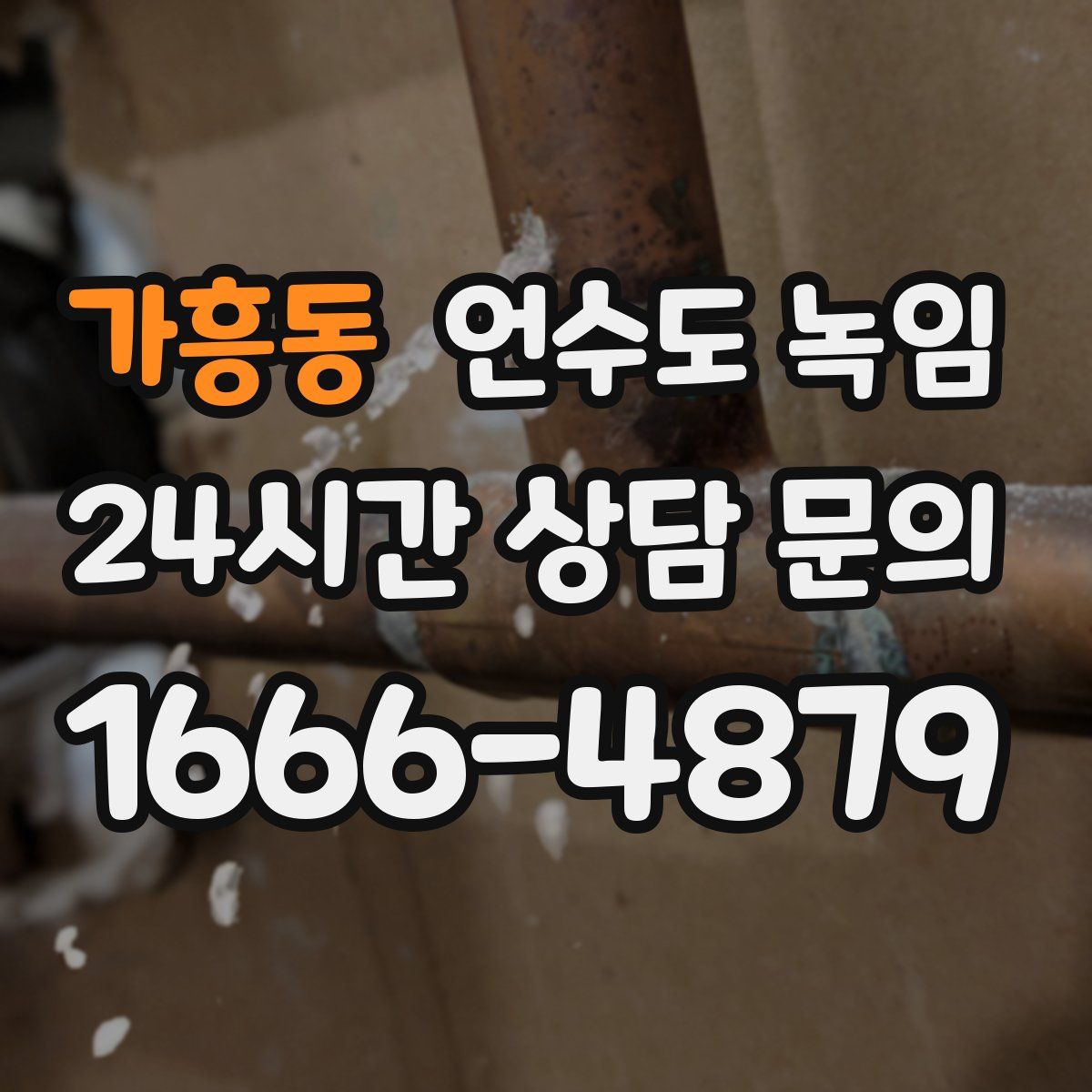 가흥동 언수도 녹임