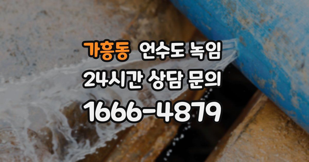 가흥동 언수도 녹임