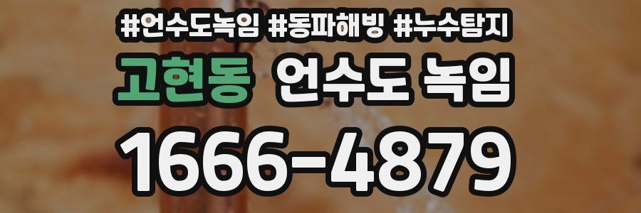 고현동 언수도 녹임