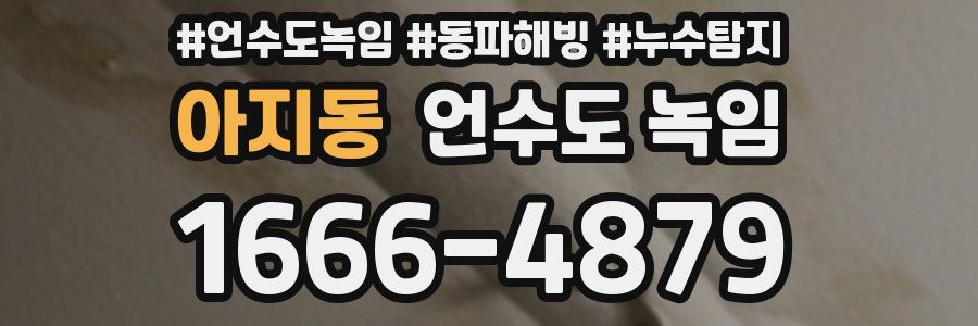 아지동 언수도 녹임