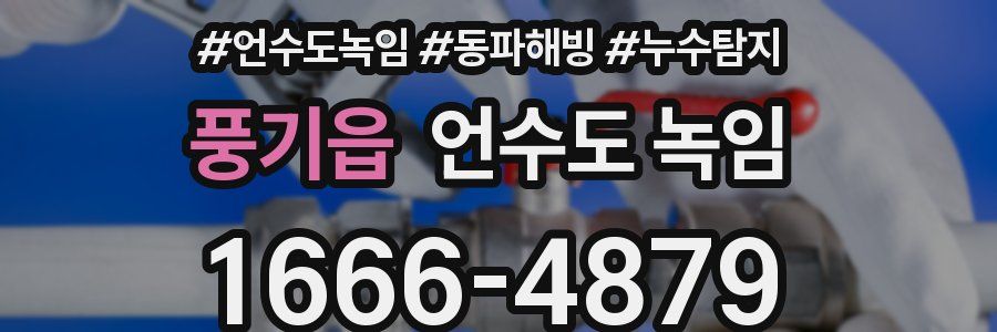 풍기읍 언수도 녹임