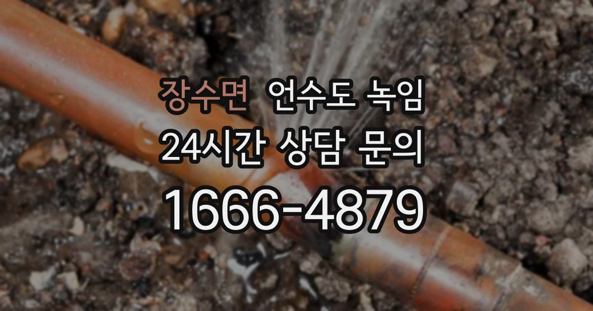 장수면 언수도 녹임