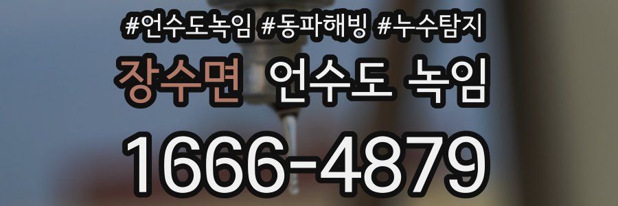 장수면 언수도 녹임