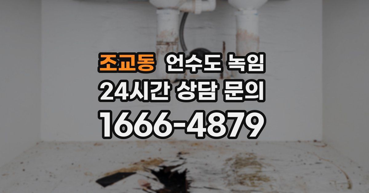 조교동 언수도 녹임