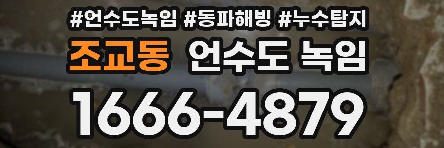 조교동 언수도 녹임