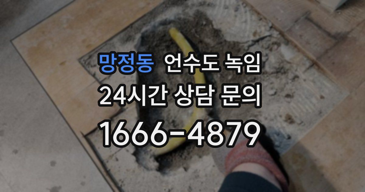 망정동 언수도 녹임