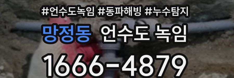 망정동 언수도 녹임