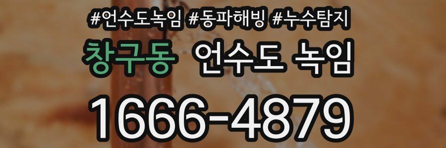 창구동 언수도 녹임