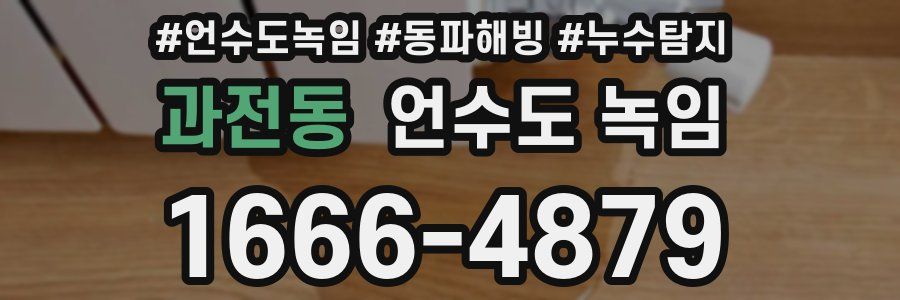 과전동 언수도 녹임