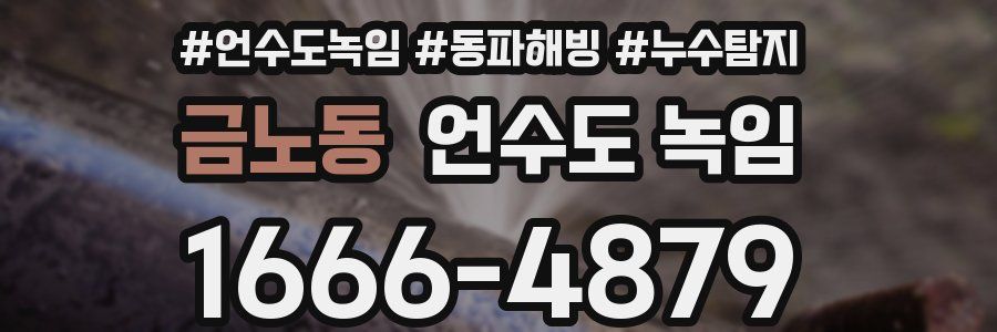 금노동 언수도 녹임