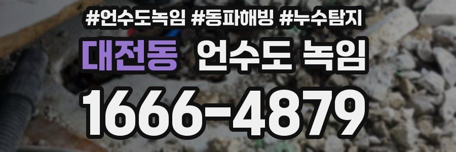 대전동 언수도 녹임