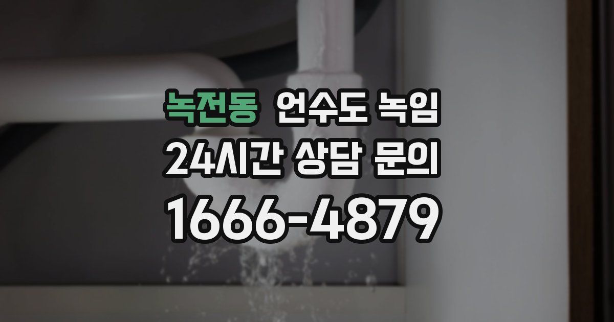 녹전동 언수도 녹임