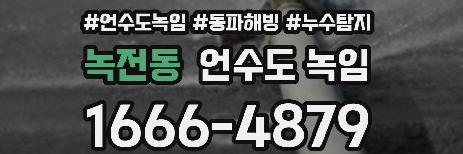 녹전동 언수도 녹임