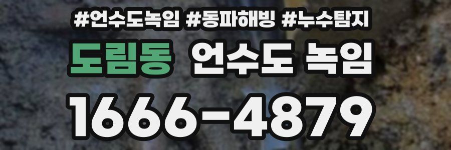 도림동 언수도 녹임