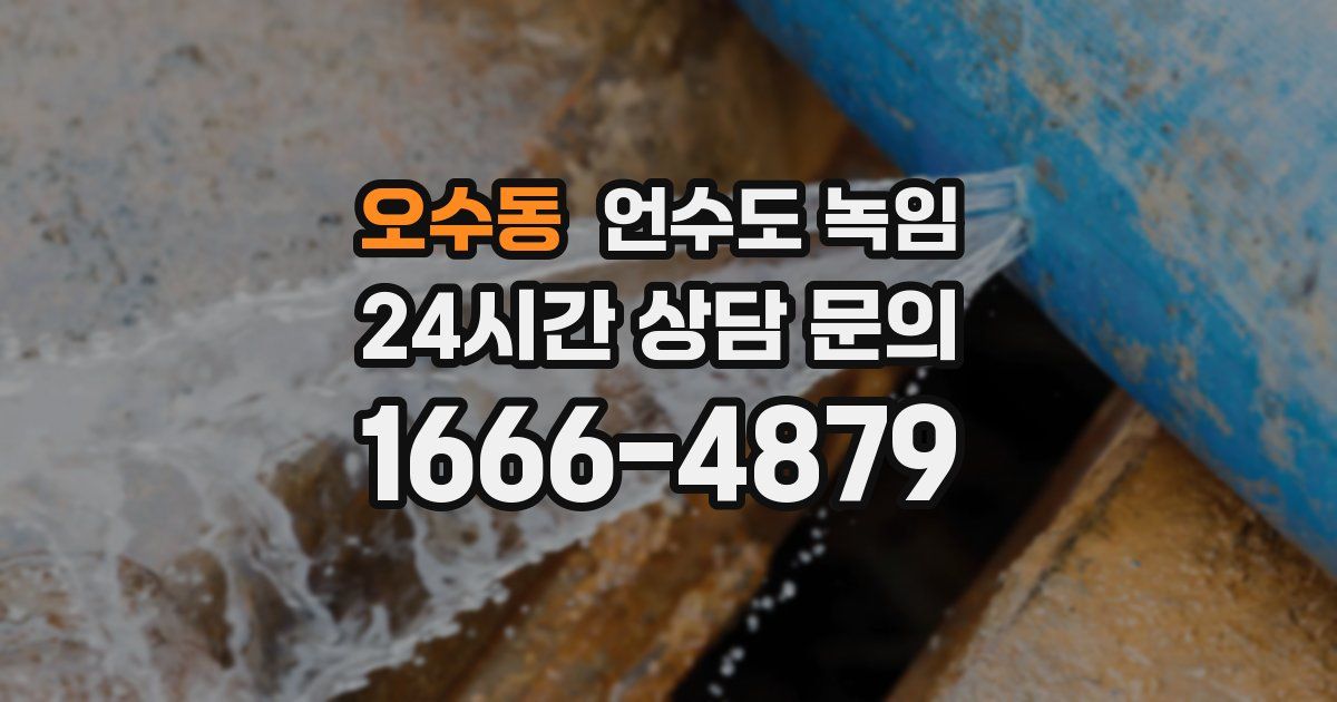 오수동 언수도 녹임