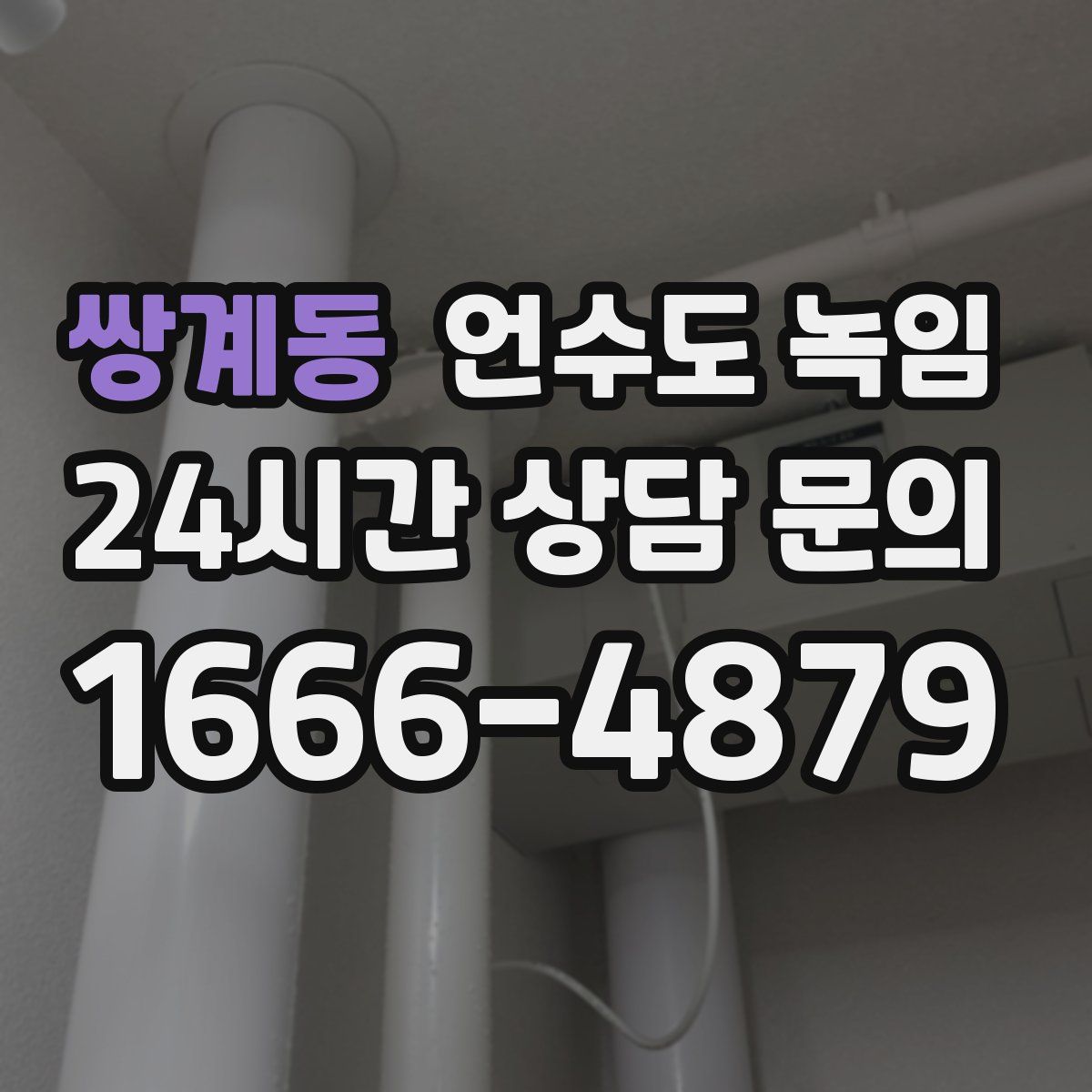 쌍계동 언수도 녹임