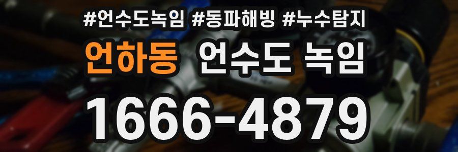 언하동 언수도 녹임