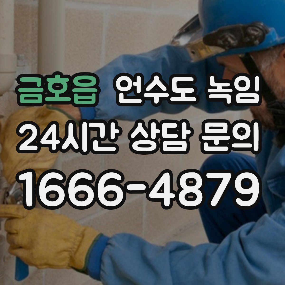 금호읍 언수도 녹임