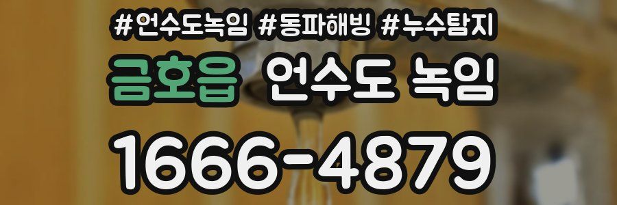 금호읍 언수도 녹임