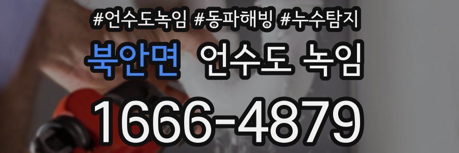 북안면 언수도 녹임