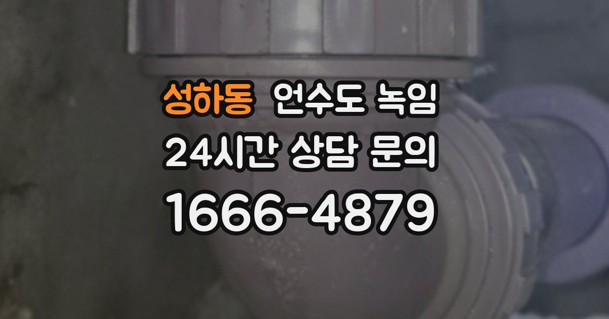 성하동 언수도 녹임