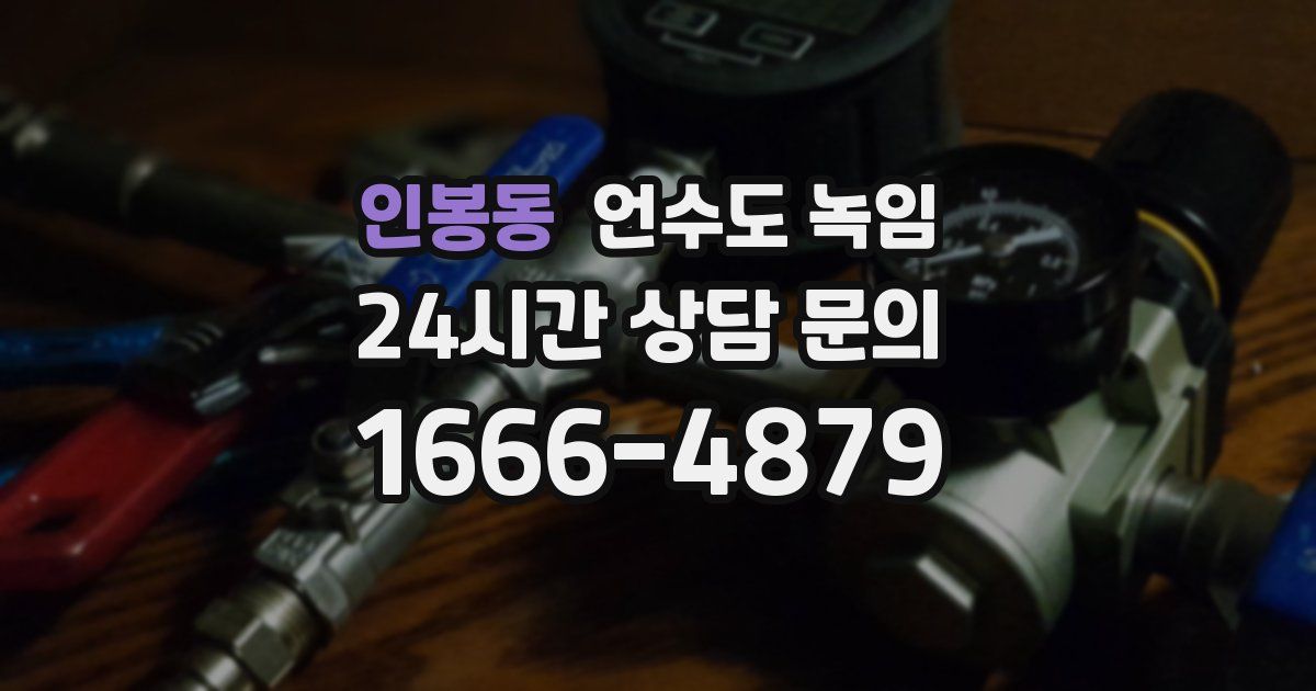 인봉동 언수도 녹임