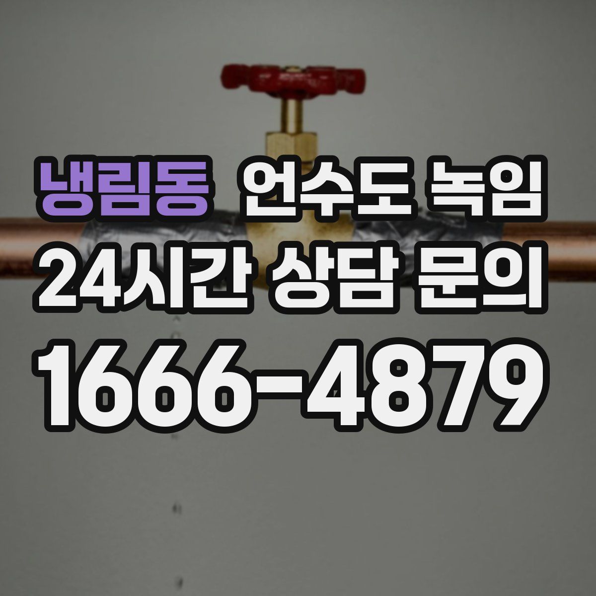 냉림동 언수도 녹임