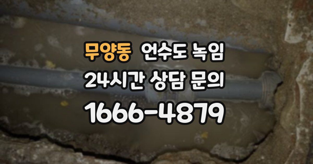 무양동 언수도 녹임