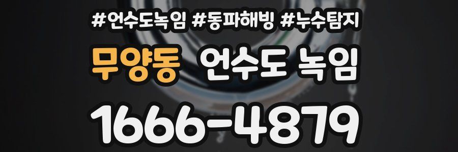 무양동 언수도 녹임