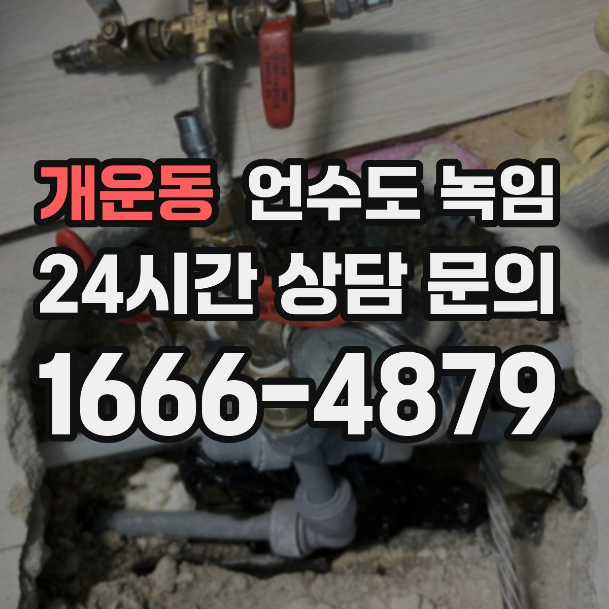 개운동 언수도 녹임