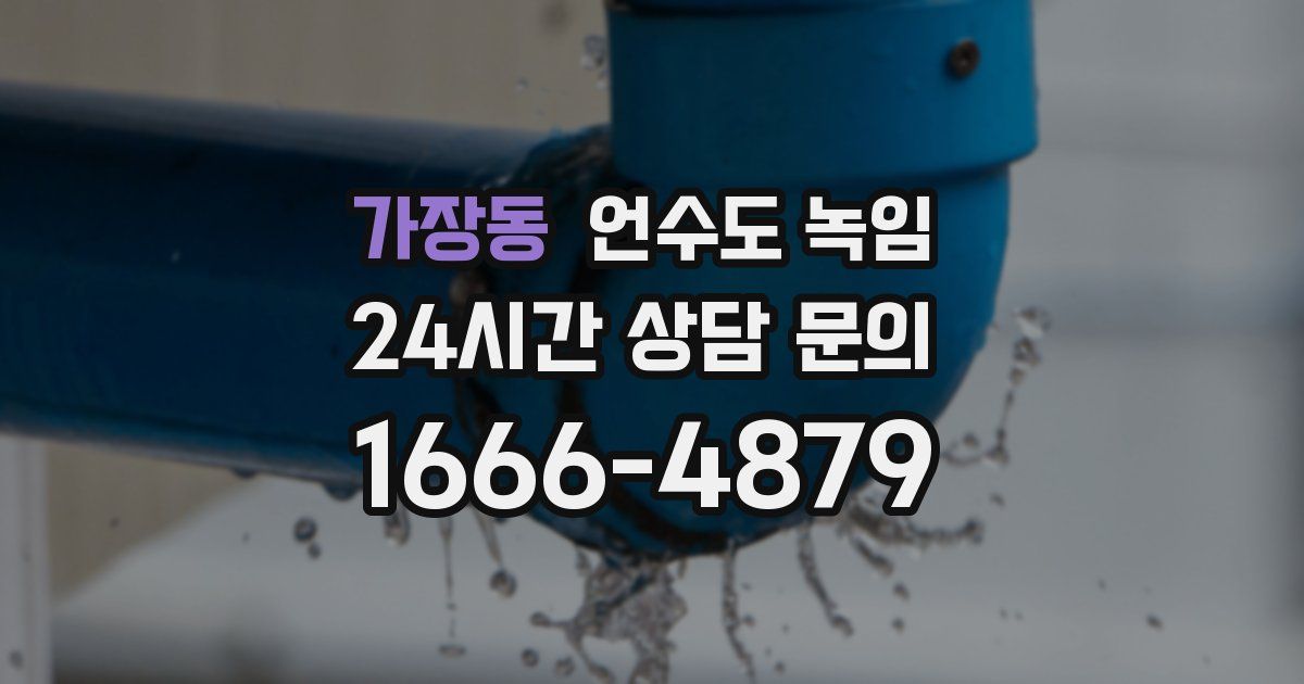 가장동 언수도 녹임