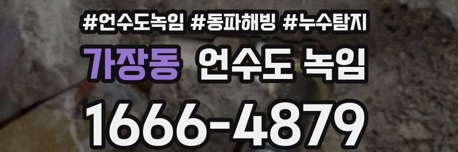 가장동 언수도 녹임