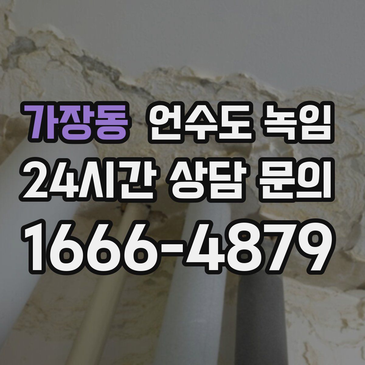 가장동 언수도 녹임