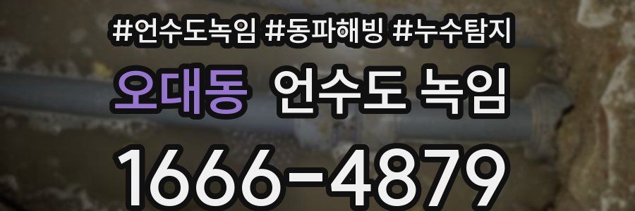 오대동 언수도 녹임