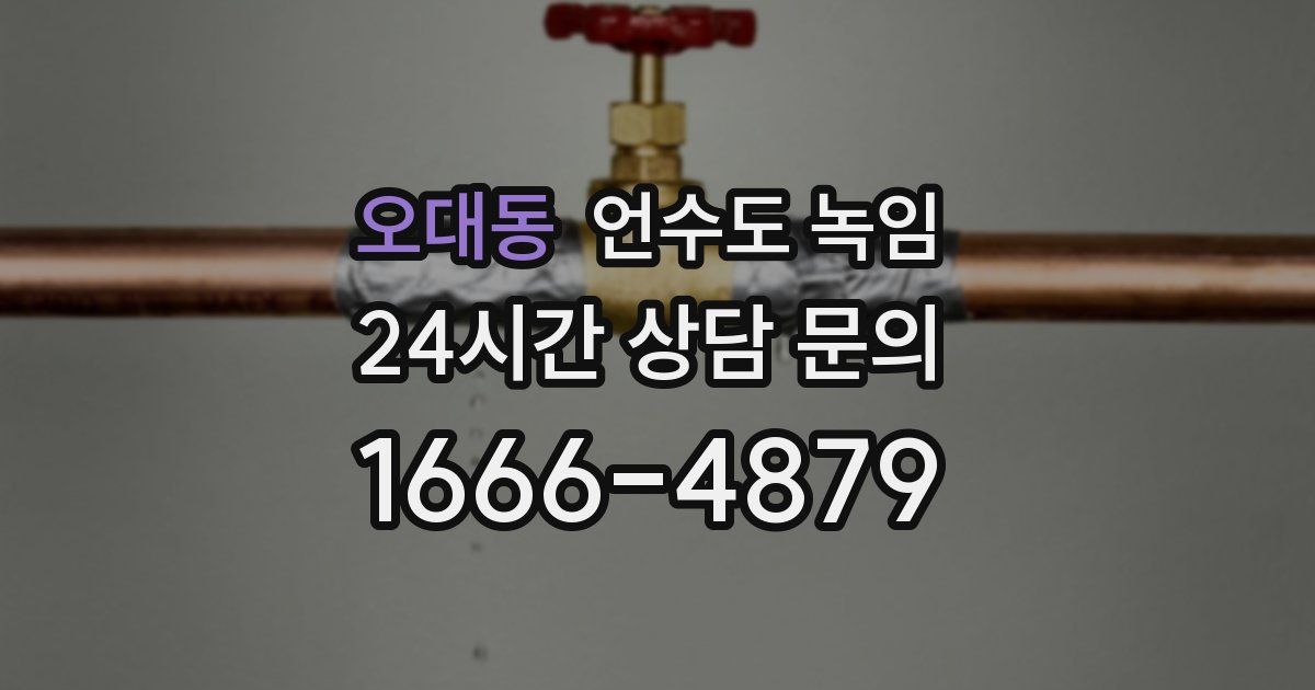 오대동 언수도 녹임