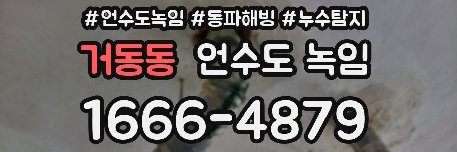 거동동 언수도 녹임