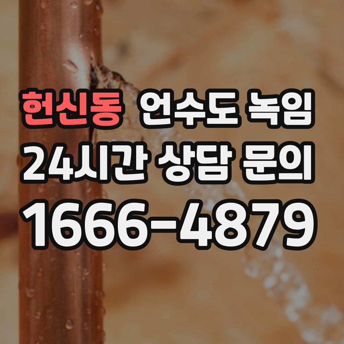 헌신동 언수도 녹임