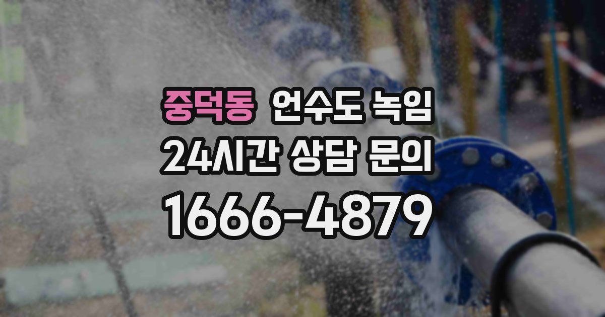 중덕동 언수도 녹임