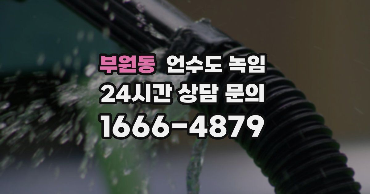 부원동 언수도 녹임