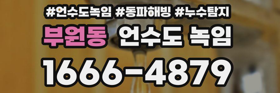 부원동 언수도 녹임