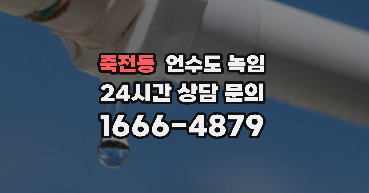 죽전동 언수도 녹임